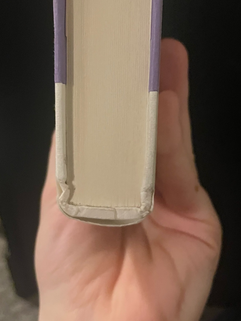 Always and Forever, Lara Jean by Jenny Han - Picture 4 of 5